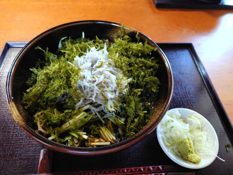 伊豆稲取　こうや
