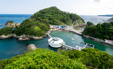 下田海中水族館